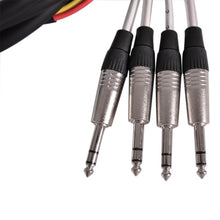 Load image into Gallery viewer, SATXSW-4x10 - 10 Foot Send and Return Snake Cable - 4 TRS to 2 XLR Male and 2 XLR Female

