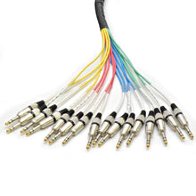 Load image into Gallery viewer, SAXT-16x5F - 16 Channel 5' TRS to XLR Female
