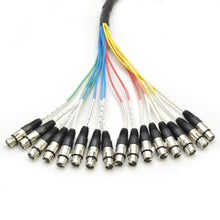 Load image into Gallery viewer, SAXT-16x10F - 16 Channel 10' TRS to XLR Female
