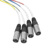 Load image into Gallery viewer, SAXT-4x10M - 4 Channel 10' TRS to XLR Male
