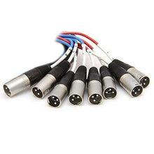 Load image into Gallery viewer, SAXT-8x5M - 8 Channel 5' TRS to XLR Male
